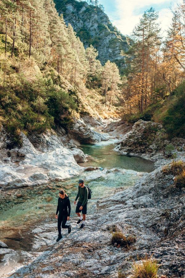 Schmautz Ferienwohnungen & Zimmer Miklauzhof Bagian luar foto